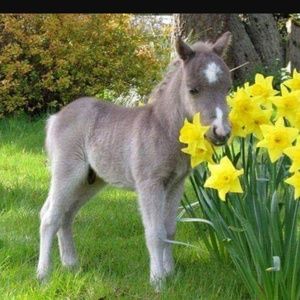 Meet your Posher, Rita